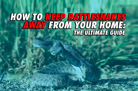 how to keep snakes away from doors